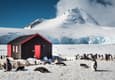 Antarctica Port Lockroy c Dietmar Denger Oceanwide Expeditions