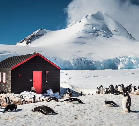 Antarctica Port Lockroy c Dietmar Denger Oceanwide Expeditions