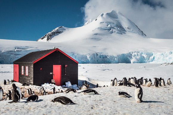 Antarctica Port Lockroy c Dietmar Denger Oceanwide Expeditions