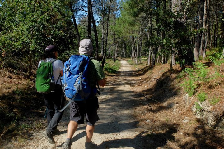 Portugal Minho Caminho Caminho Portugues walking down alto da portela grande labruja