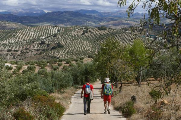 Walking in Andalucía