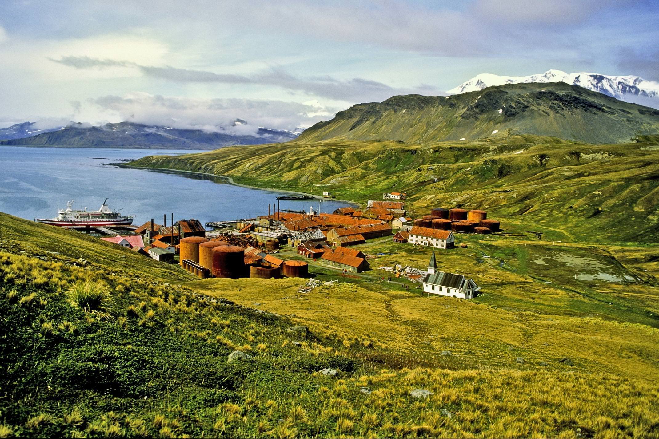 Antarctica south georgia grytviken whaling station c adeliepenguin