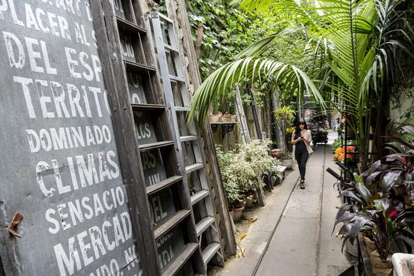 lady walking below palms in palermo, buenos aires