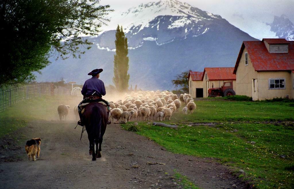 Argentina patagonia estancia nibepo aike c hotel