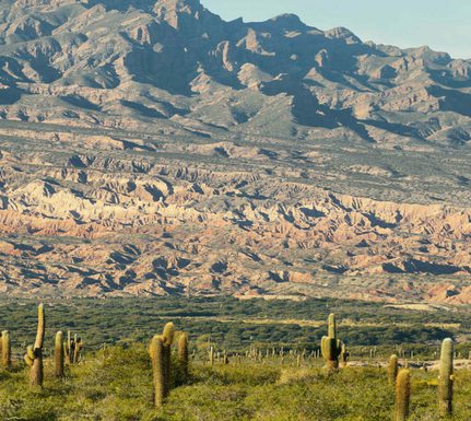 Argentina salta los cardones national park in northern argentina