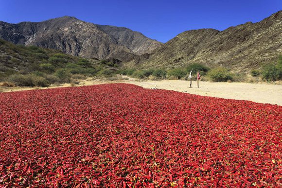 peppers drying in the sun near cachi argentina