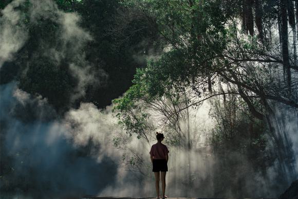 walking in forests on sao miguel