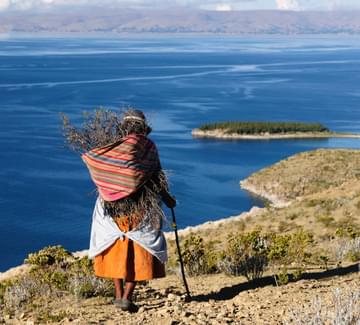 andean woman in traditional dress carrying reeds high above lake titicaca