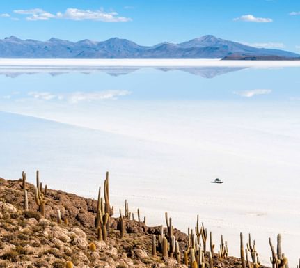 Bolivia uyuni isla de pescadores salt lake uyuni in bolivia