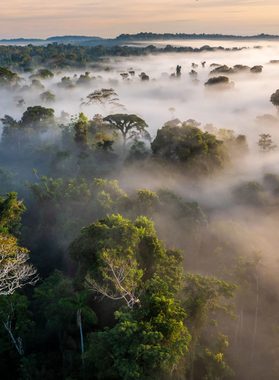 Brazil amazon cristalino lodge extra 3