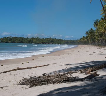 an idyllic white-sand beach lapped by the sea on Boipeba island