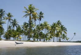 Brazil boipeba canoe on a ocean beach with coconut palms bahia