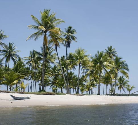 Brazil boipeba canoe on a ocean beach with coconut palms bahia