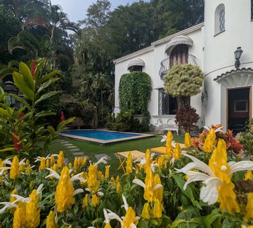 yellow blooms in front of a small pool at a guesthouse in rio's santa teresa