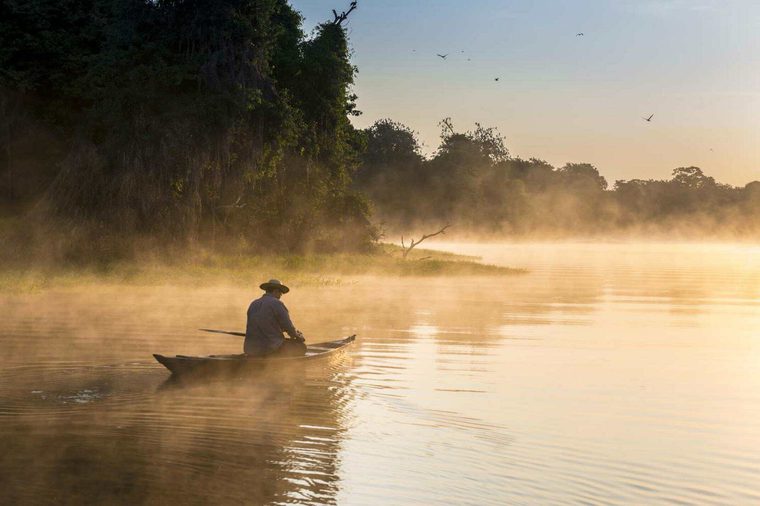 Amazon Rainforest