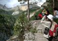 Bearded vulture release, Spanish Pyrenees