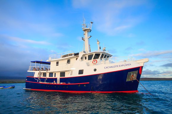 cachalote explorer boat galapagos