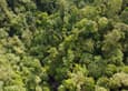 Ecuador mindo cloud forest canopy chris bladon