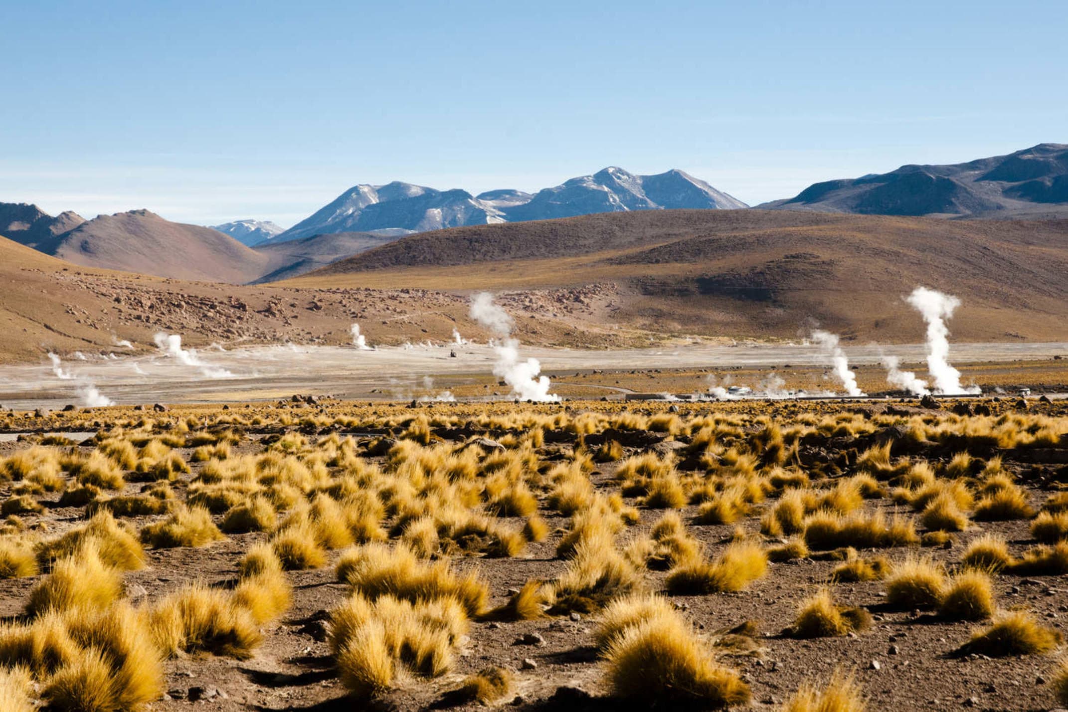 Chile atacama el tatio geyser field