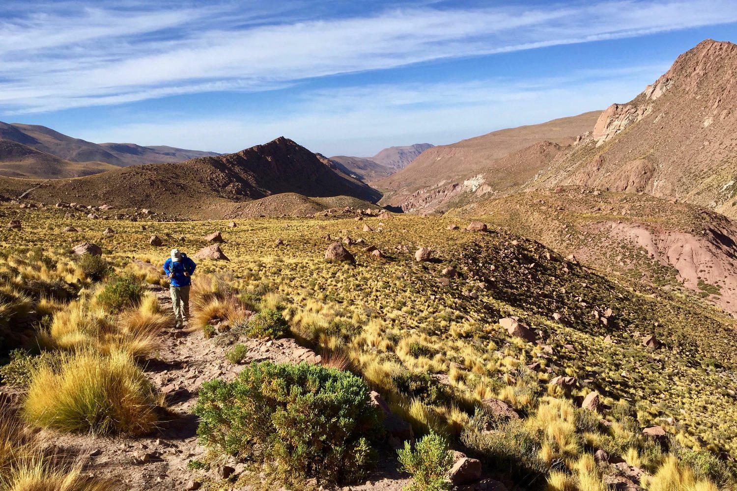 Chile atacama high pampa walker c camilo silva pura aventura jpg