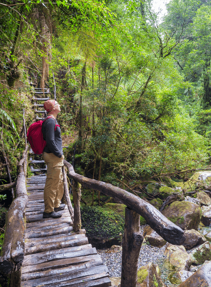 Pumalín National Park
