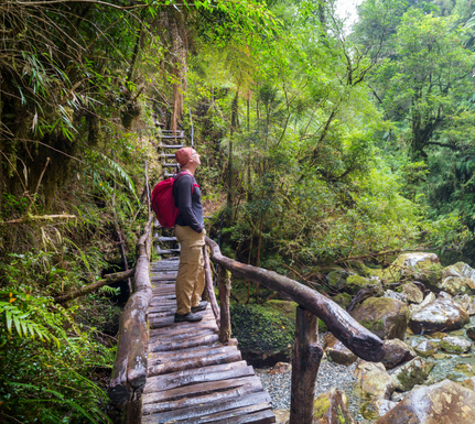 Pumalín National Park