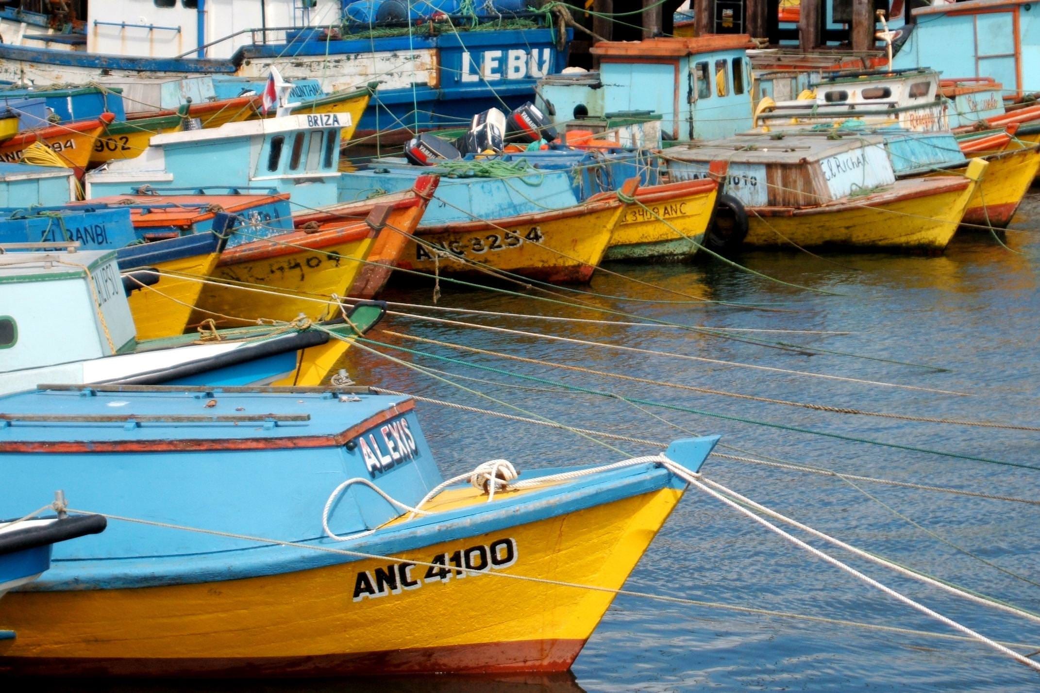 Chile chiloe grande island fishing boats moored