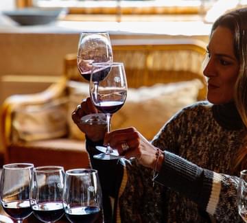 wine tasting colchagua valley