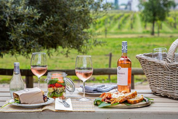 colchagua valley chile wineries
