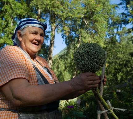 Chile lakes pucon curarrehue mapuche community cooking class seeds garden c rutas ancestrales 1