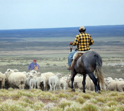 Chile patagonia torres del paine tom power 2024 pura aventura 7