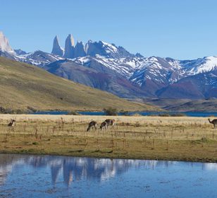 Torres del Paine
