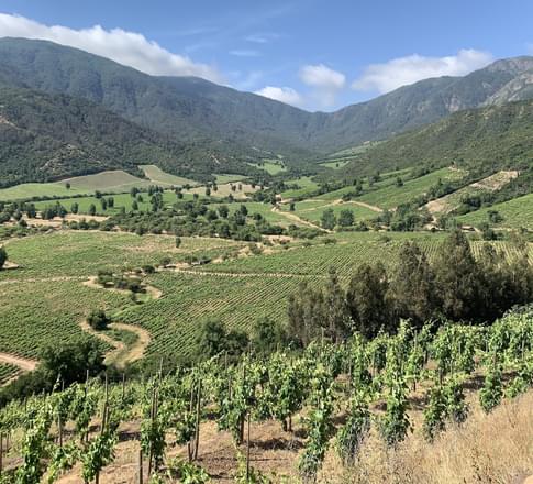 colchagua valley chile wineries