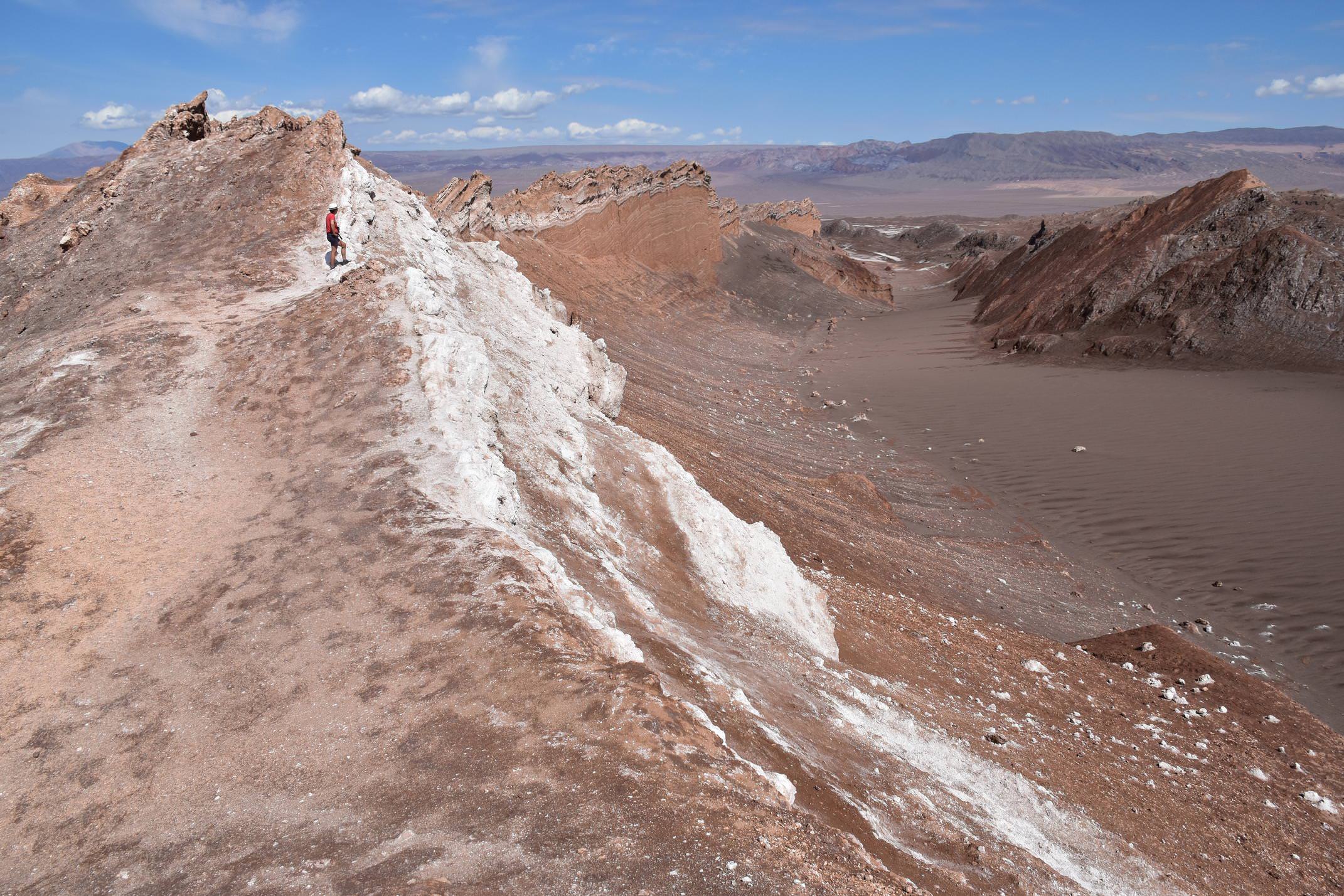 Chile atacama c pura traveller john main3