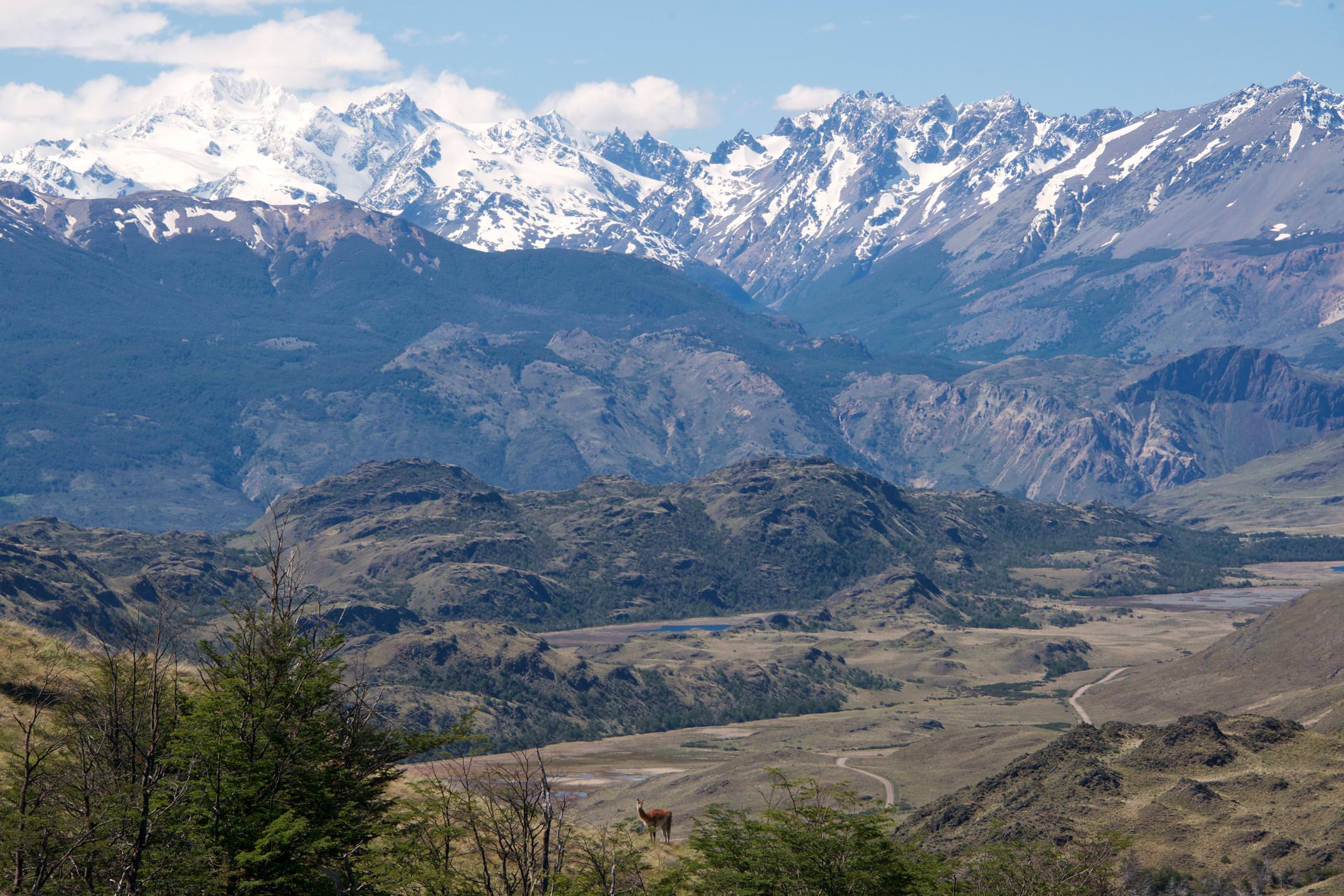 Chile carretera Park Patagonia1 copyright Aaron Millar