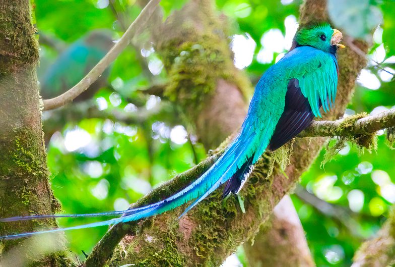 Costa rica arnaud montagna 11