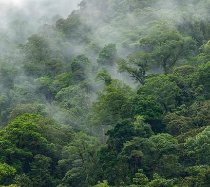 Costa rica bajos del toro el silencio lodge 14