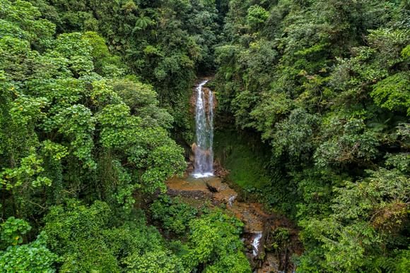 aerial view of a tall waterfall nestled in green forests in bajos del toro
