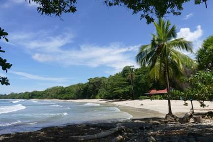 Cahuita beach Costa Rica