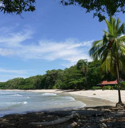 Cahuita beach Costa Rica
