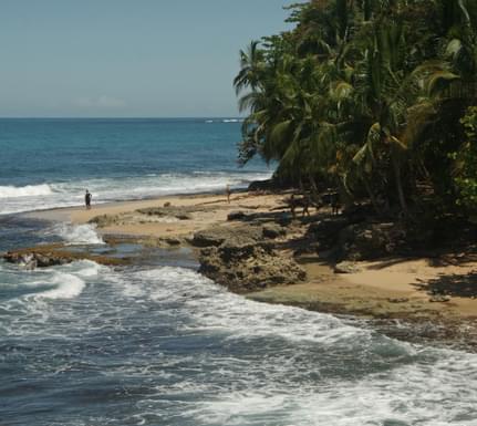 Costa rica caribbean gandoca manzanillo reserve tour 172 chris bladon pura aventura