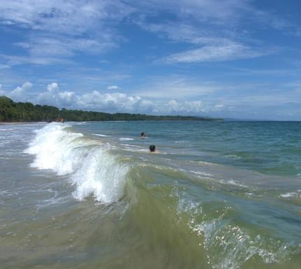 Costa rica caribbean manzanillo beach playing waves