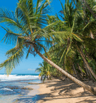 Costa rica caribbean playa manzanillo c canva 1