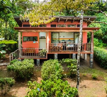 a wooden cabin secluded in lush greenery near tenorio
