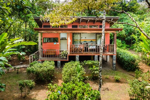 a wooden cabin secluded in lush greenery near tenorio