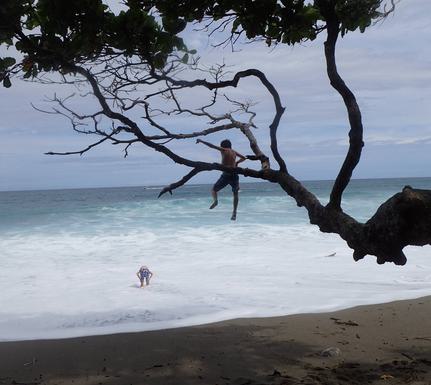 Costa rica family osa peninsula boy jumping from tree onto beach