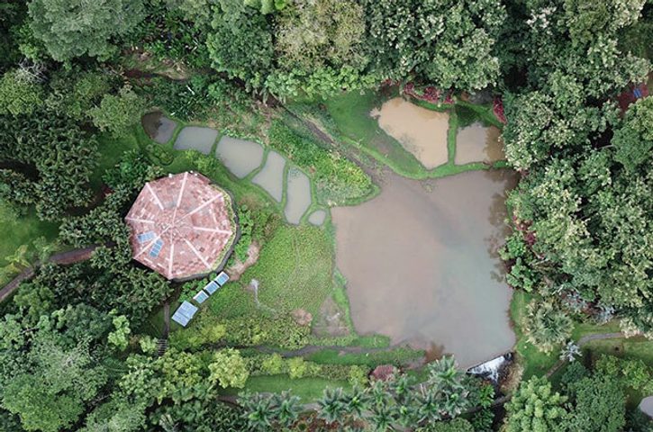 Costa rica macaw lodge above c hotel