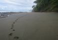 Costa rica matapalo beach c thomas power pura aventura