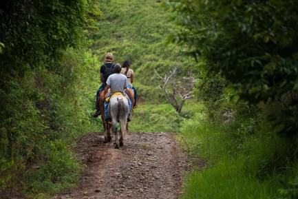 monteverde horse ride