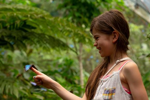 girl with morpho butterfly on finger